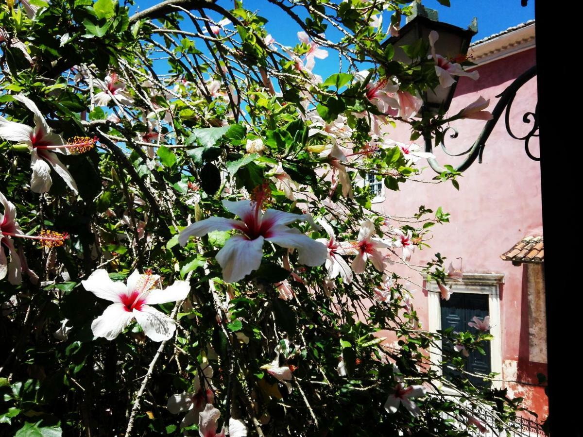 Venetian Well Cozy Apartment Corfu Old Town Eksteriør bilde